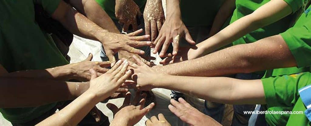 grupo de trabajadores iberdrola españa